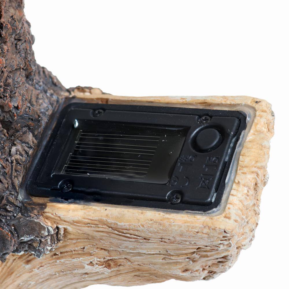 Rustic Brown Polyresin Tree Stump Bird Bath with Solar LED Address Plate