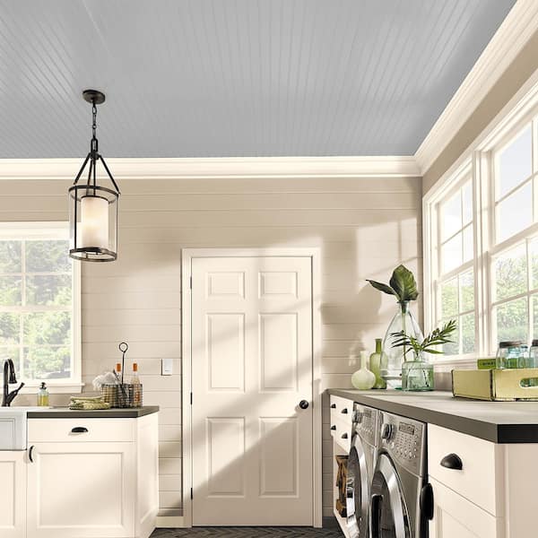 BEHR PREMIUM PLUS #770E-2 Silver Screen color Ceiling Flat