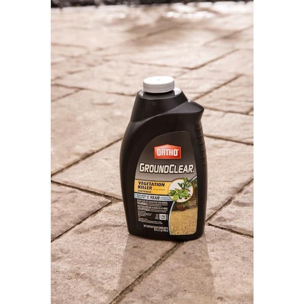 best fertilizer for fiddle leaf fig Fiddle Fuel
