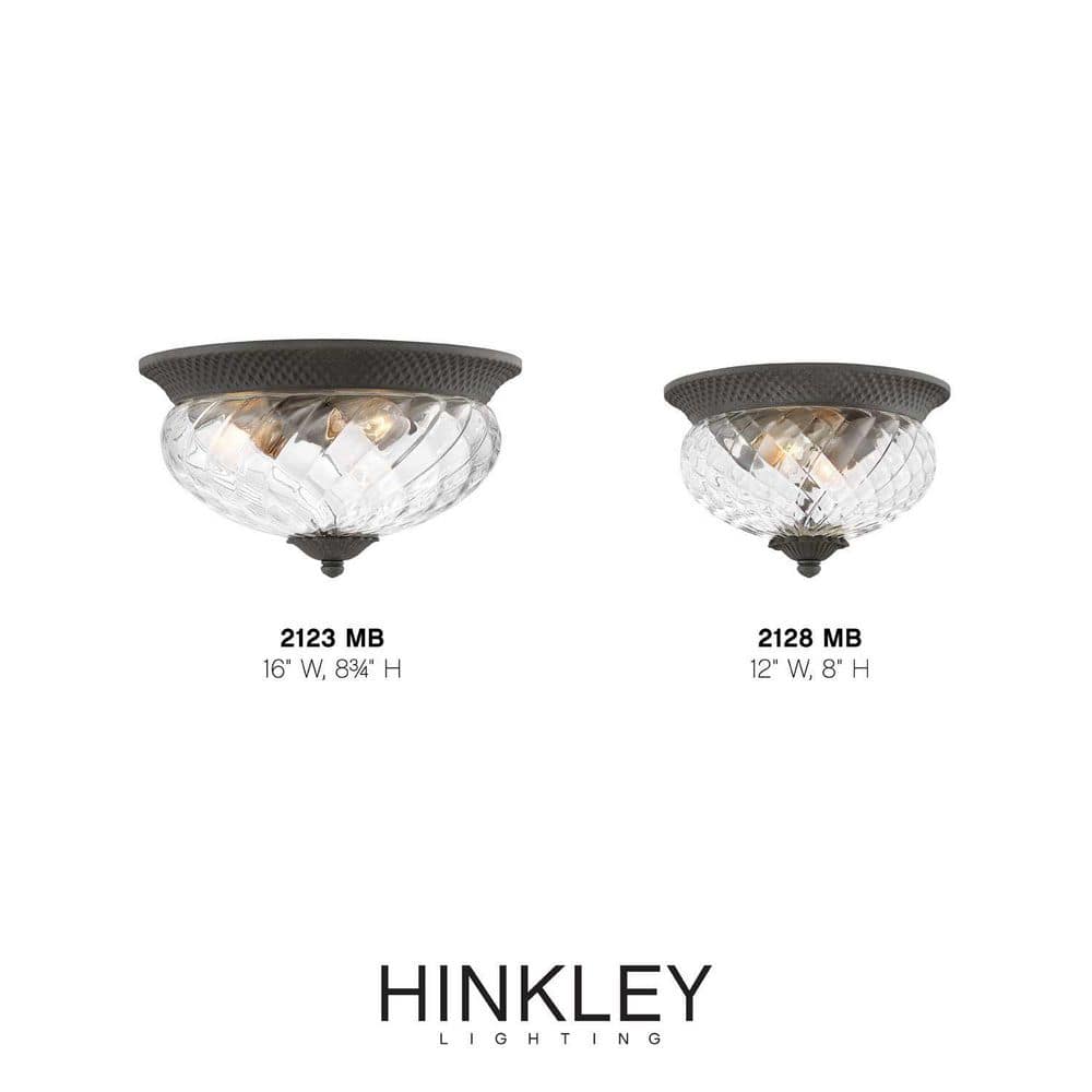 Museum Black Clear Glass 2-Light LED Outdoor Sconce