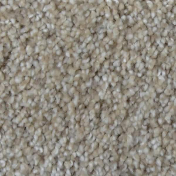 Home Decorators Collection Stargazer  - Explorer - Beige 32 oz. SD Polyester Texture Installed Carpet