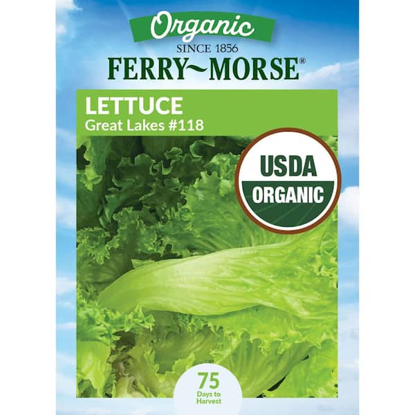 Organic Lettuce Great Lakes #118 Vegetable Seeds