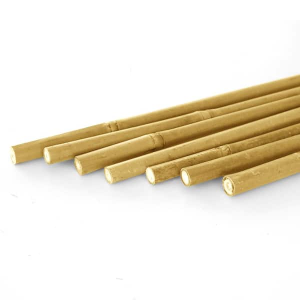 Ecostake 4 ft. Natural Bamboo Eco-Friendly Garden Plant Stakes for Climbing support for Tomatoes, Trees, Beans, (10-Pack)