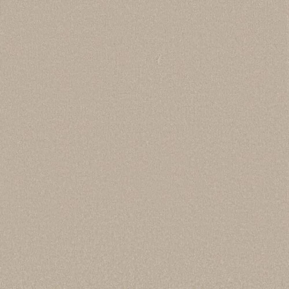 8 in. x 8 in. Texture Carpet Sample-Park Royal II-Color Almond Silk price history on PriceWatchPro