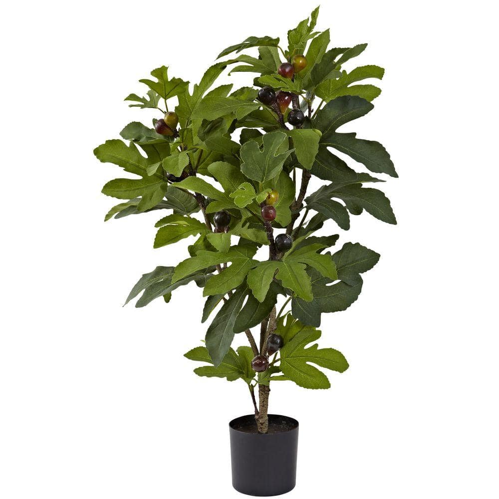 32'' Green Silk Faux Fig Tree in Black Pot