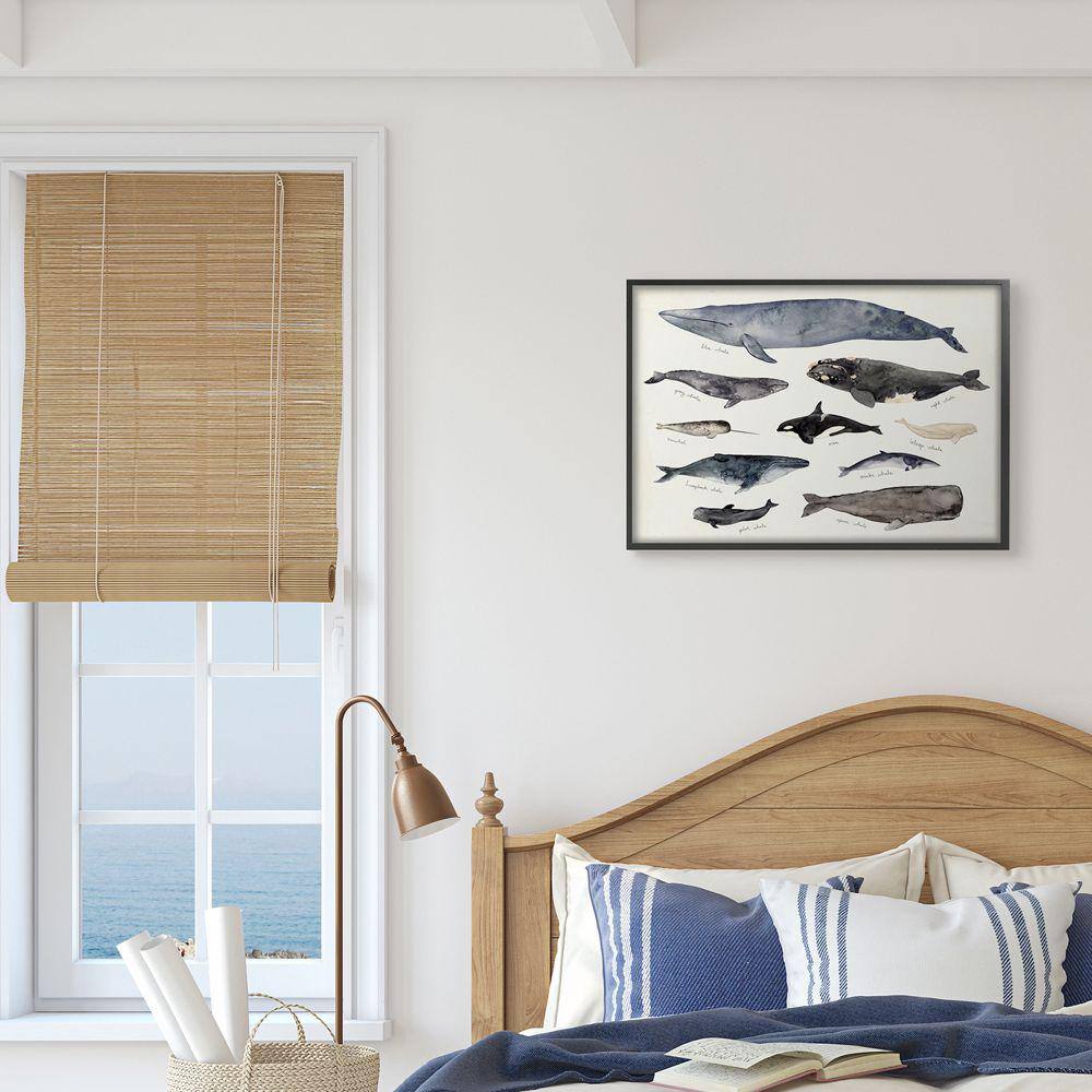 Vintage Nautical Whale Chart Black Framed Canvas Print
