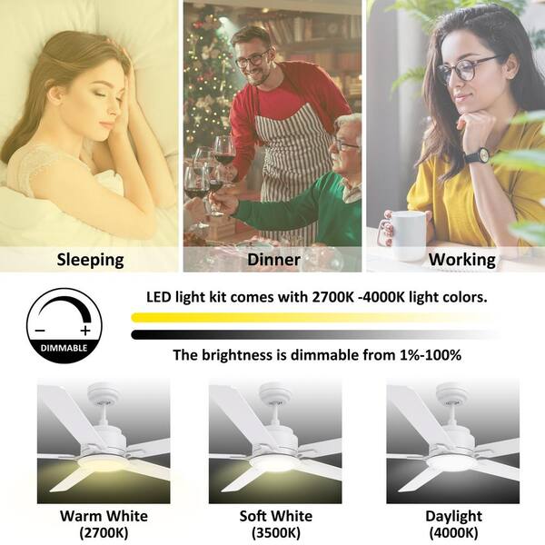 CARRO Essex 60 in. Dimmable LED Indoor/Outdoor White Smart