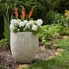 Vigoro 16 in. Jennings Large Gray Fiberglass Bowl Planter (16 in. D x 11  in. H) With Drainage Hole GRC-081708 - The Home Depot