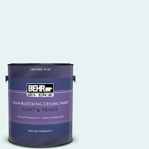 1 gal. #BL-W04 Ethereal White Ceiling Flat Interior Paint with Primer