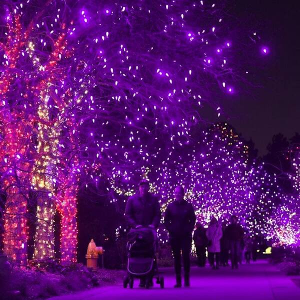Angel Sar 100 ft. Halloween 300 LED String Lights with 8 Lighting