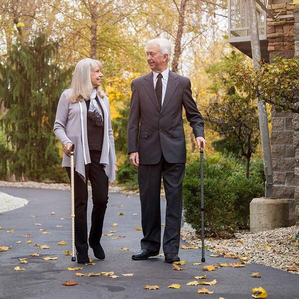 Gold Black Panda Compass Walking Cane