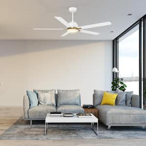 Byrness 60 in. Color Changing Integrated LED Indoor Matte White 10-Speed DC Ceiling Fan with Light Kit/Remote Control