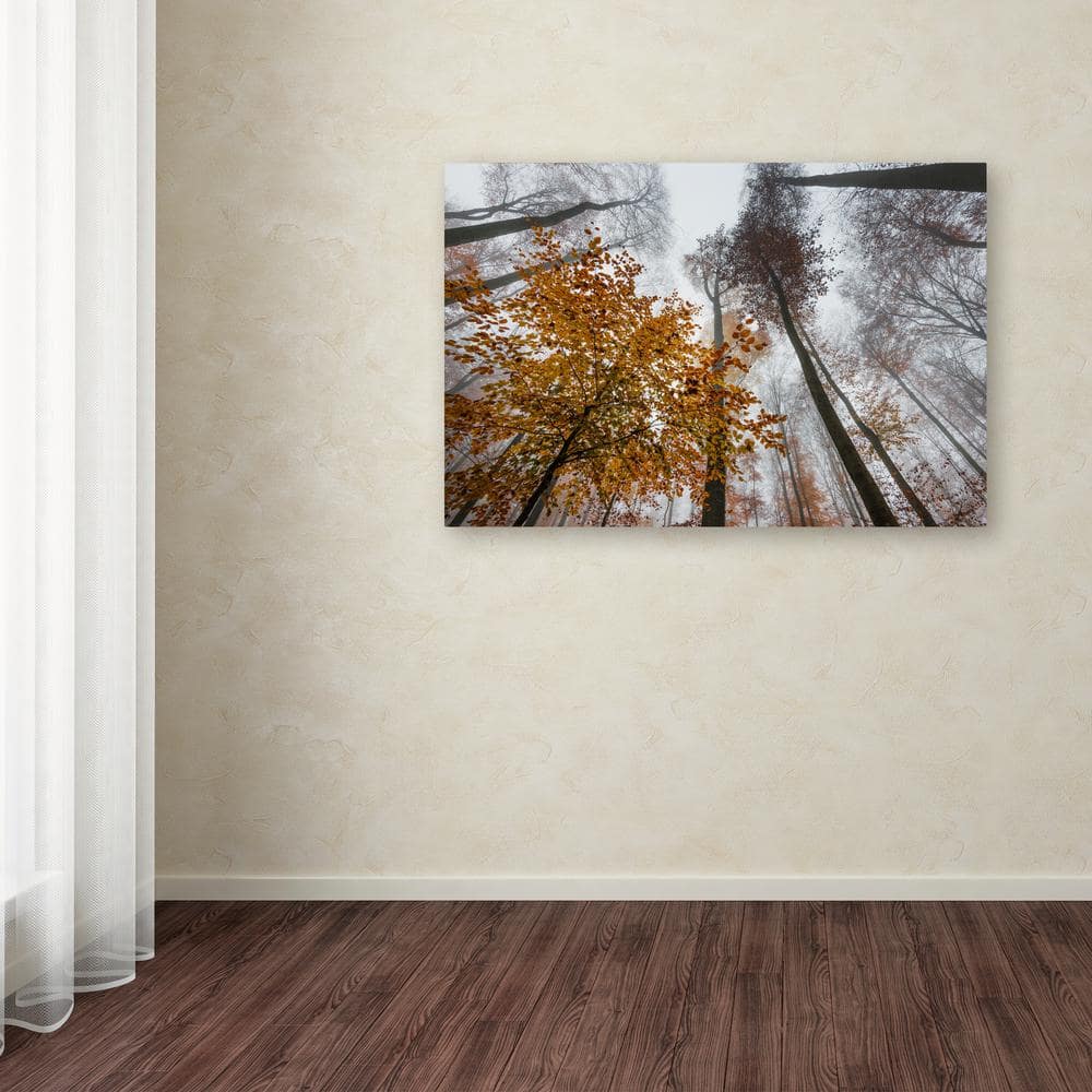 Autumn Forest Landscape Framed Canvas Art 22" x 32"