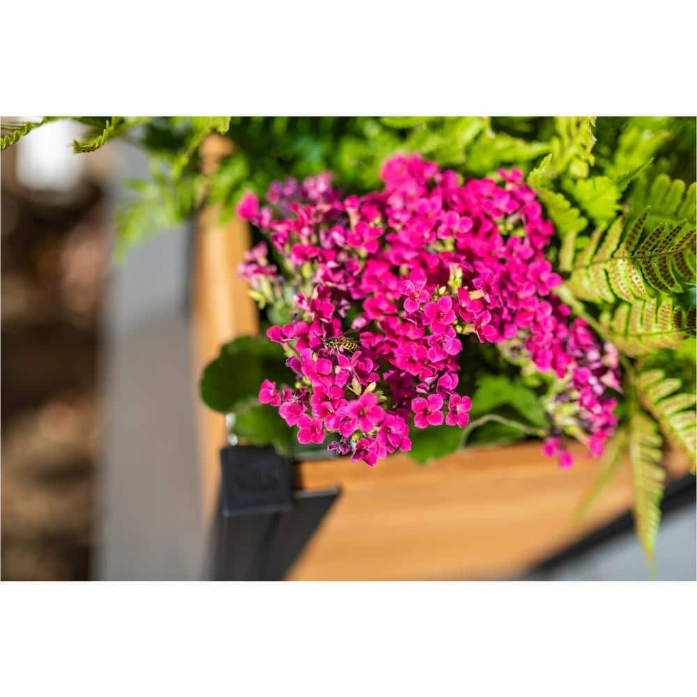 Mezza Cedar Brown Square Indoor/Outdoor Planter Box Set