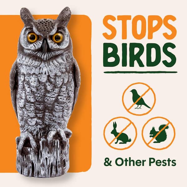 Dalen Great Horned Owl Decoy - 16 in. Lifelike Scarecrow Bird