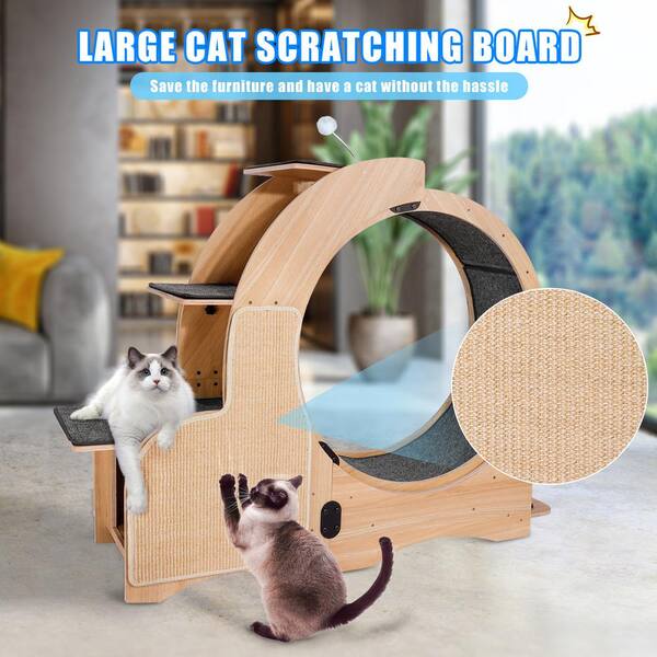 Large cat outlet wheel