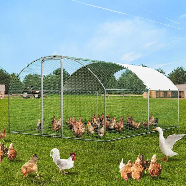 Poultry Fencing Large Metal Chicken Coop 9.8 ft. x 12.9 ft. x 6.5 ft. Walk in Chicken Run for Yard with Waterproof Cover