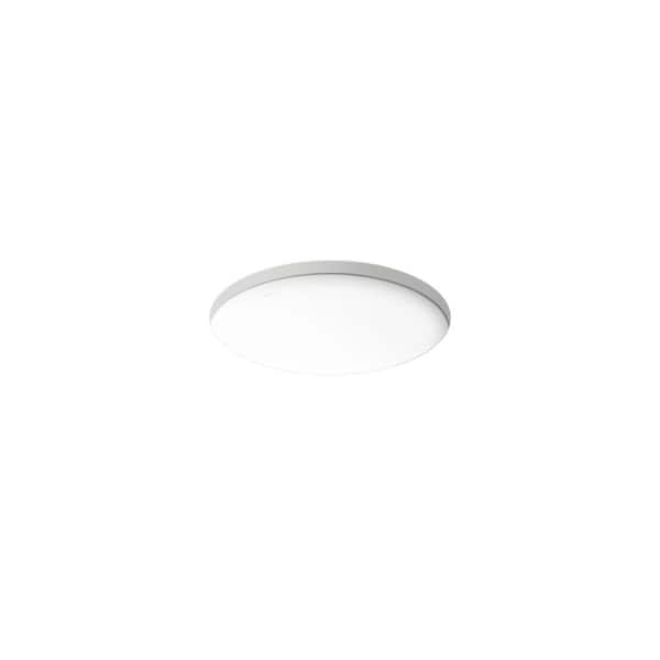 Caxton 16-1/4 in. Round Bathroom Sink in White Without Overflow Drain