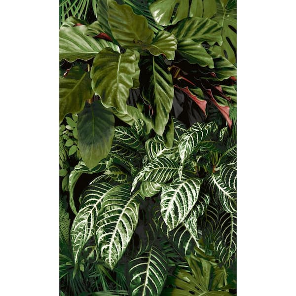Walls Republic Fern Foliage Tropical Printed Non-Woven Paper Non Pasted Textured Wallpaper 57 sq. ft.