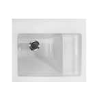 Hydro Systems 21 in. x 26 in. Acrylic Drop-In Laundry Sink - LAU2126ATAW