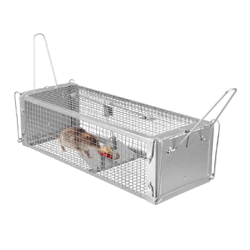 rats・delivery Rat Circus' Has Taken Control of the Upper East Side