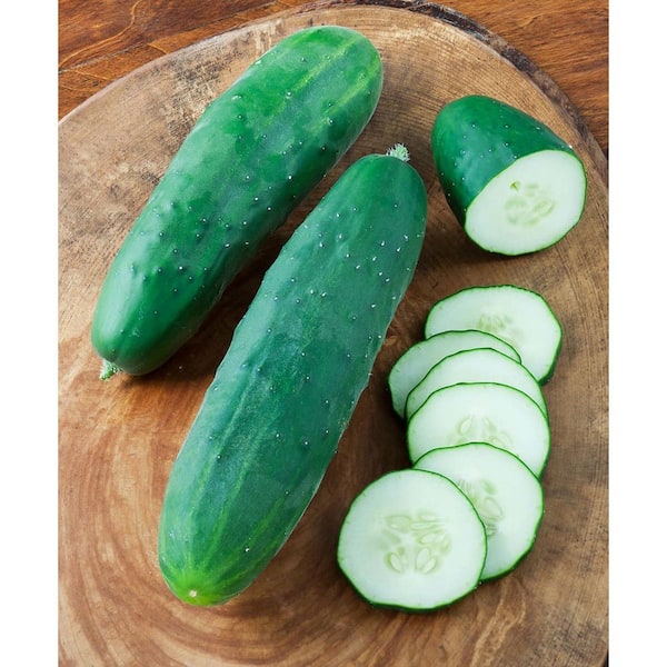 Silver Slicer Cucumber Organic Seeds - 25 Seeds