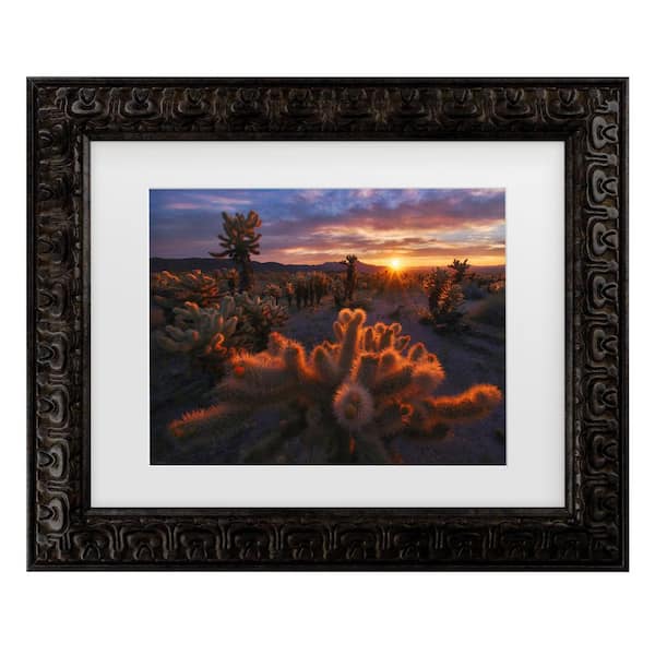 Trademark Fine Art Inigo Cia Cholla Garden Matted Framed Photography Wall Art 19.5 in. x 23.5 in.