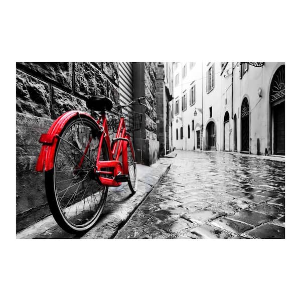 Yosemite Home Decor 47 in. x 32 in. "The Red Bike" Tempered Glass Wall Art