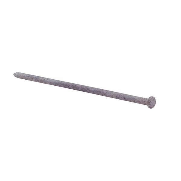 Everbilt 3/8 in. x 8 in. Galvanized Steel Spike Nail (50 lb.-Pack)