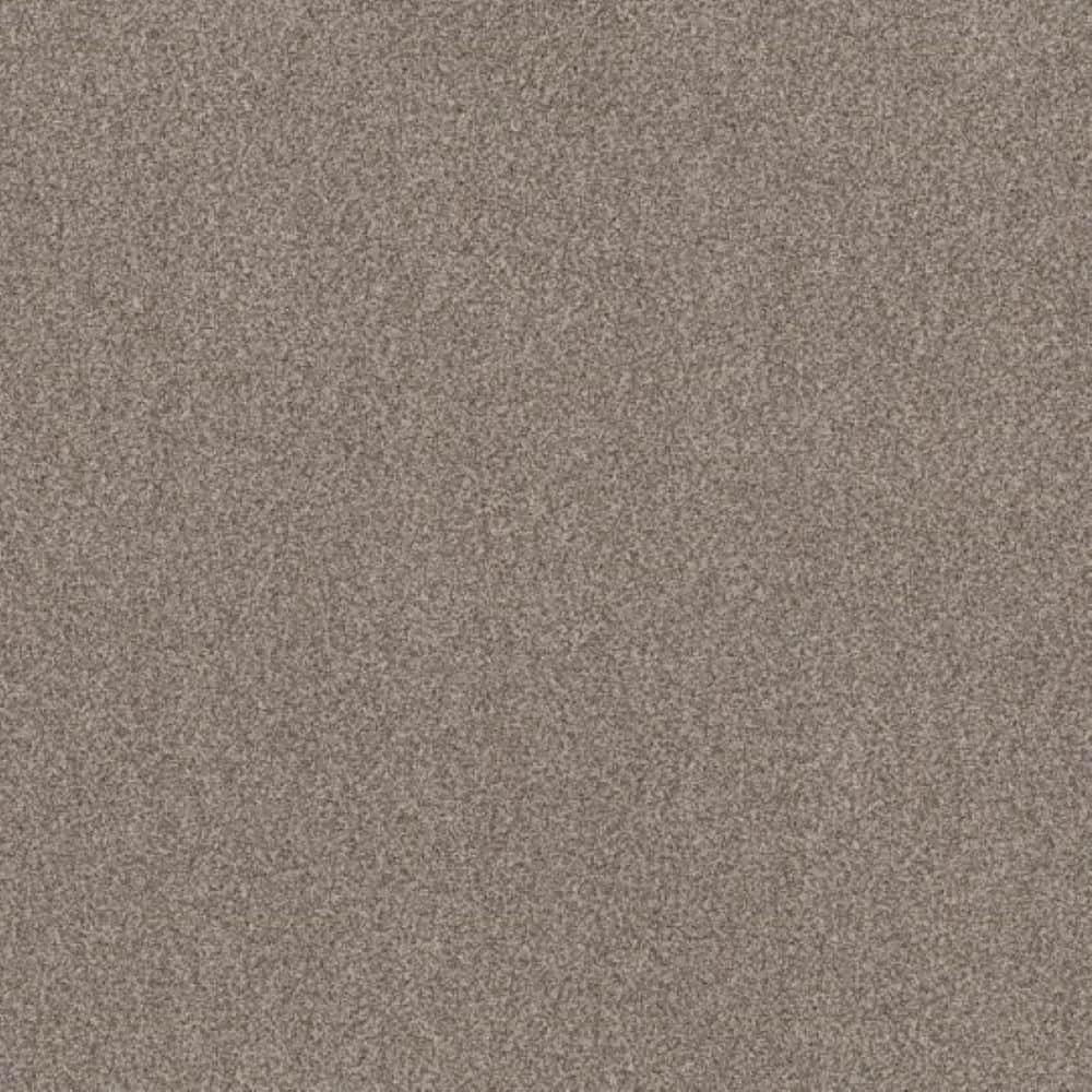 8 in. x 8 in. Texture Carpet Sample - Urban Artifact II - Color Leather price history on PriceWatchPro