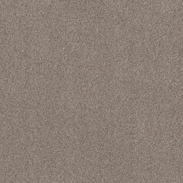 Lifeproof 8 in. x 8 in. Texture Carpet Sample - Urban Artifact II - Color Leather