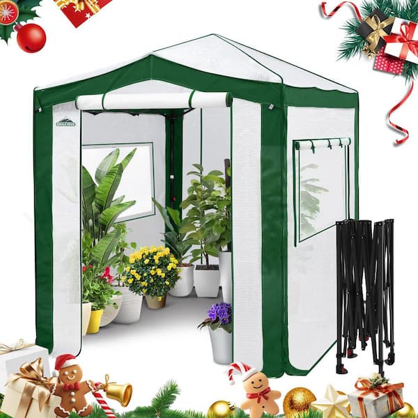 6 ft. W x 8 ft. D Pop-Up Walk-in Gardening Greenhouse Canopy, White/Green