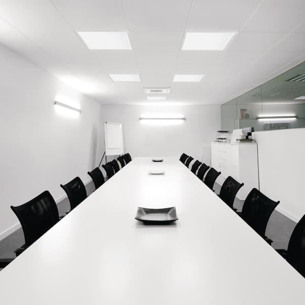 Lithonia Lighting Contractor Select CPX A12 Lens 2 ft. x 2 ft