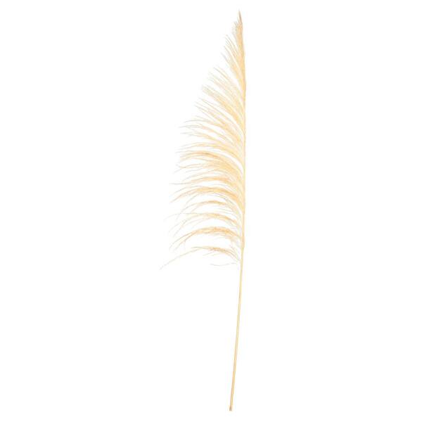 Vickerman 60-72 in. Bleached Preserved Uva Palm Spray, (Pack of 10)
