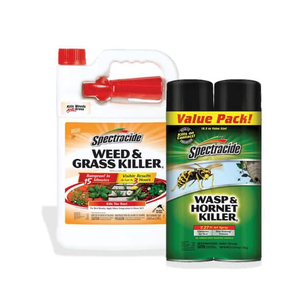 18.5 oz. Wasp and Hornet Killer (2-Count) and 128 oz. Weed and Grass Killer Sprayer Combo