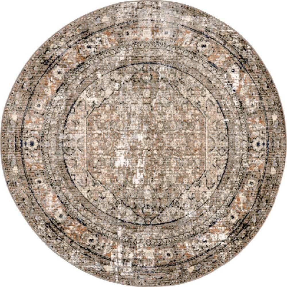 "Charvi Beige Distressed Medallion Fringe Area Rug Multicolor 6' 4"" ft. x 6' 4"" ft. Area Rug" price history on PriceWatchPro
