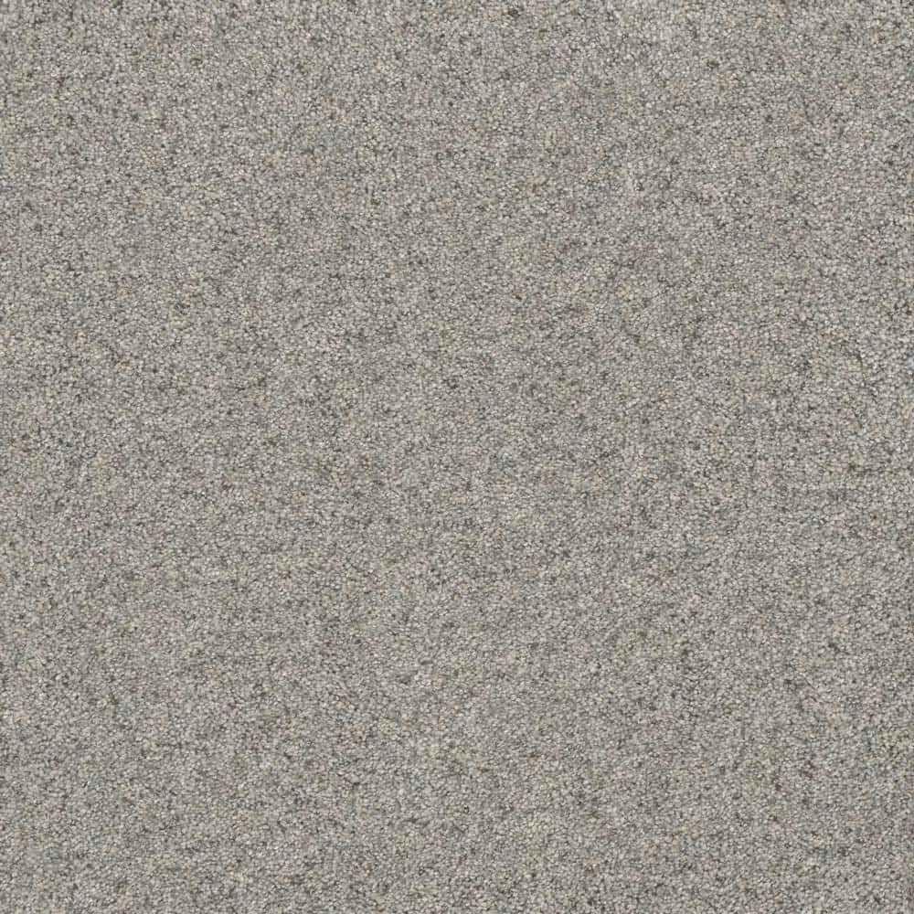 8 in. x  8 in. Texture Carpet Sample - Bradmore II -Color Shade price history on PriceWatchPro