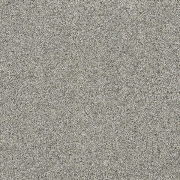 Home Decorators Collection 8 in. x  8 in. Texture Carpet Sample - Bradmore I -Color Shade