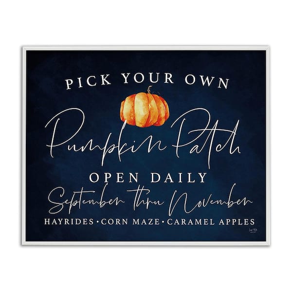 Stupell Industries Pick Your Own Pumpkins by Lux plus Me Designs 1 Piece Framed Graphic Print Typography Poster Art Print 20 in. x 16 in.