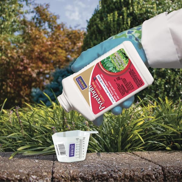 Bonide Pyrethrin Garden Insect Spray Concentrate, 8 oz. Ready-to-Mix Fast  Acting Insecticide for Outdoor Garden Use 857 - The Home Depot