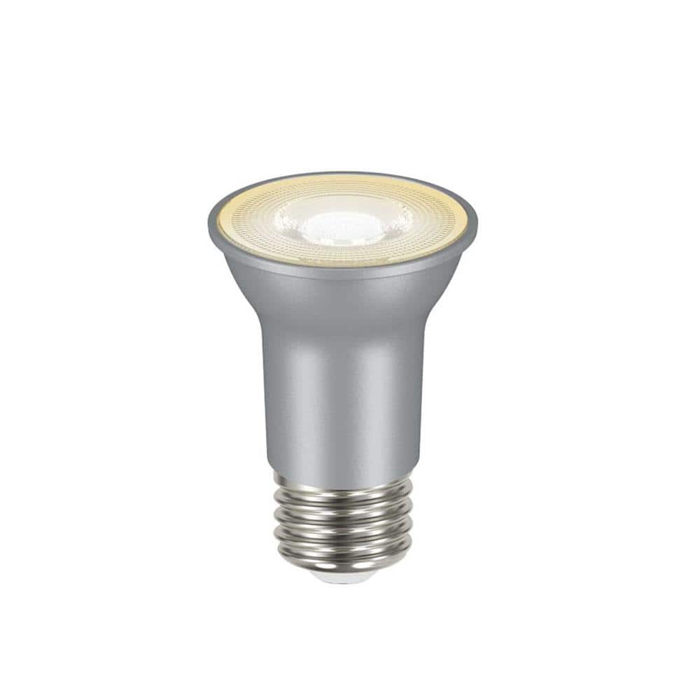 EcoSmart 45-Watt PAR16 Dimmable Flood LED Light Bulb White (2-Pack) A20PR1645WESD32 - The Home Depot