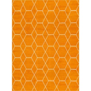 Trellis Frieze Orange/Ivory 9 ft. x 12 ft. Geometric Area Rug