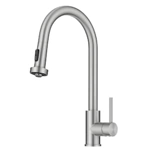 Bolden 2-Function Single Handle Pull Down Sprayer Kitchen Faucet in Spot-Free Stainless Steel