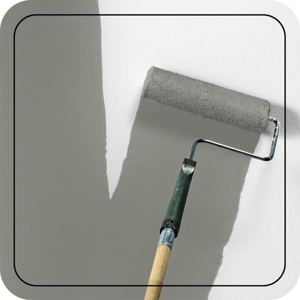 N380-5 Naturalist Gray Paint