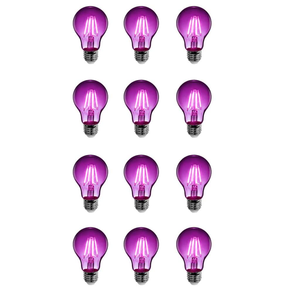 25-Watt Equivalent A19 Dimmable Filament Purple Colored Glass E26 Medium Ba