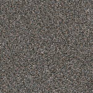 Delight I - Euphoria - Gray 48 oz. SD Polyester Texture Installed Carpet
