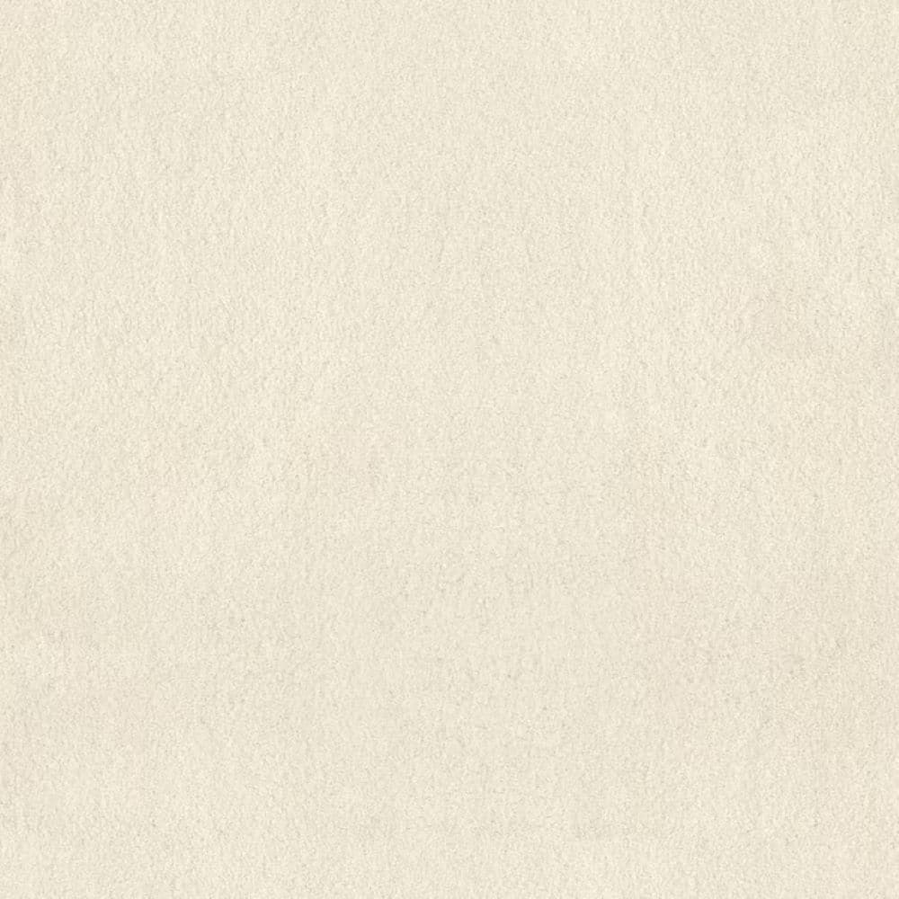8 in. x 8 in. Texture Carpet Sample-Dreamy Daze II-Color White Sand price history on PriceWatchPro