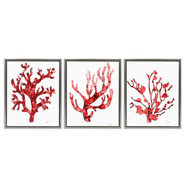 Bold Red Coral by Patti Mann 3 Pieces Gray Floater Frame Coastal Graphic Art Print 31 in. x 25 in.