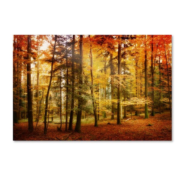 Trademark Fine Art 22 in. x 32 in. "Brilliant Fall Color" by Philippe Sainte-Laudy Printed Canvas Wall Art