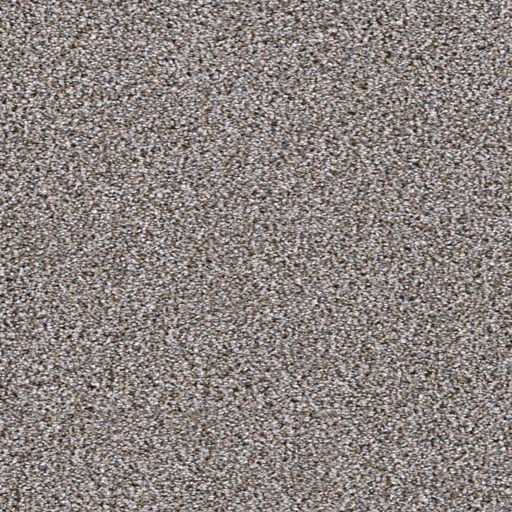 8 in. x  8 in. Texture Carpet Sample - Affectionate I -Color Fondness price history on PriceWatchPro